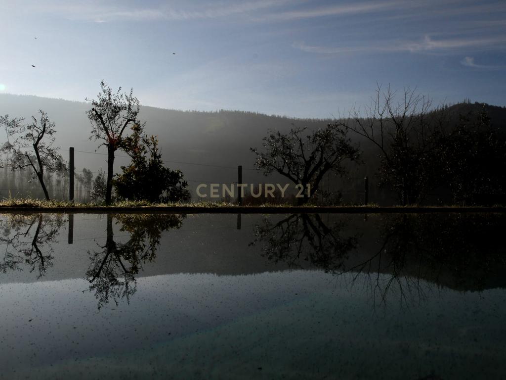 Charmosa Quinta em Castelo de Paiva - Image 14